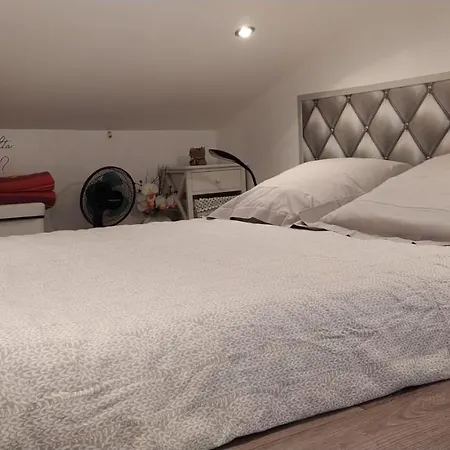 Dependance Privee Avec Entree Autonome Séjour chez l'habitant Toulouse